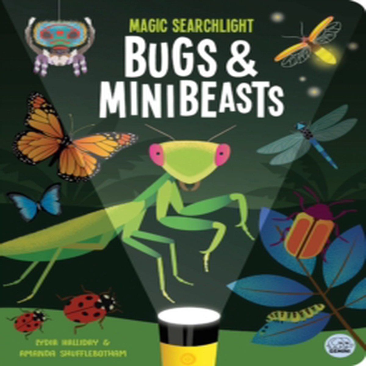 Magic Searchlight - Bugs & Minibeasts 9781836160533 Hardback