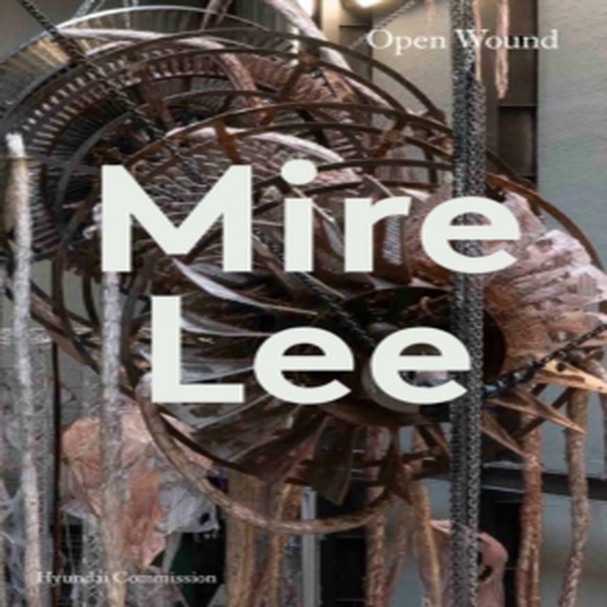 Mire Lee 9781849769594 Paperback