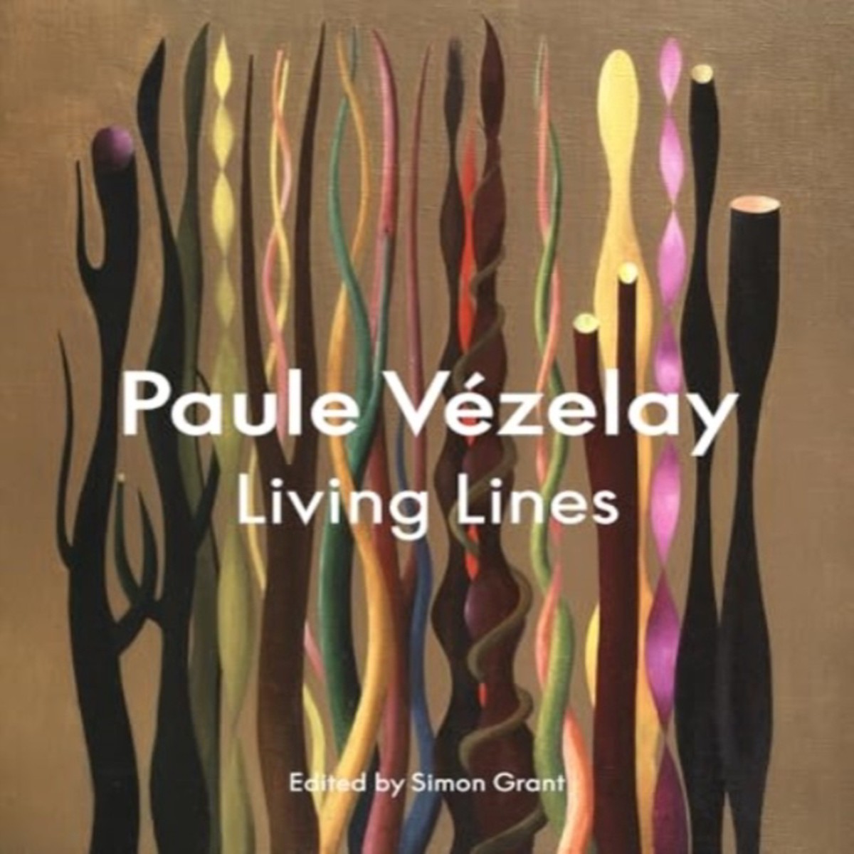Paule Vezelay 9781848227040 Hardback