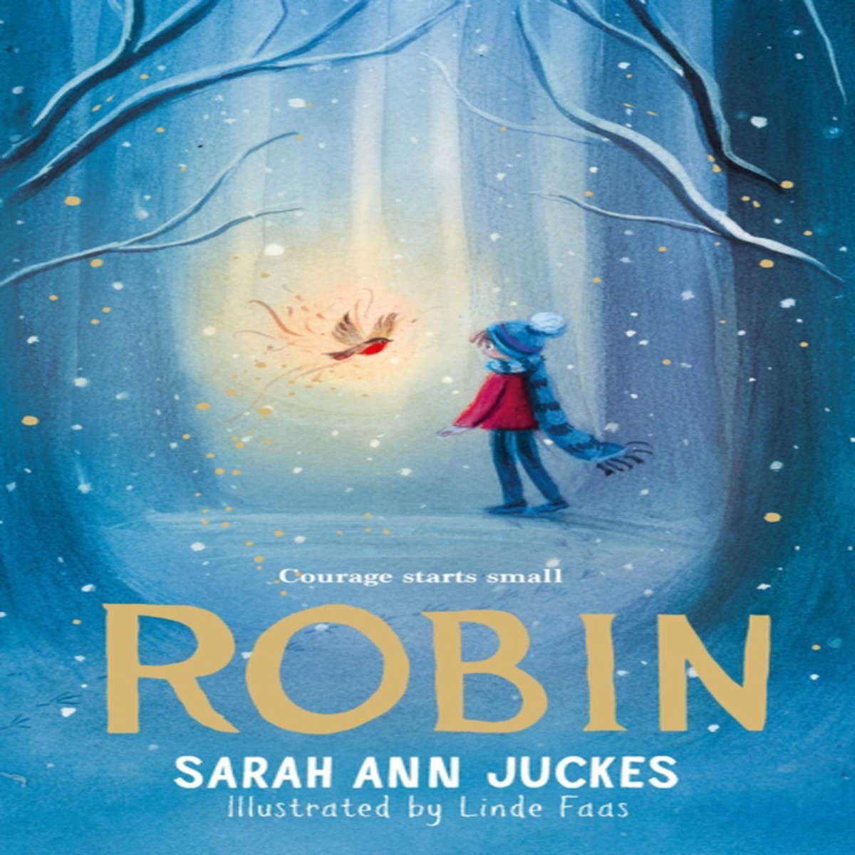 Robin 9781398531055 Hardback