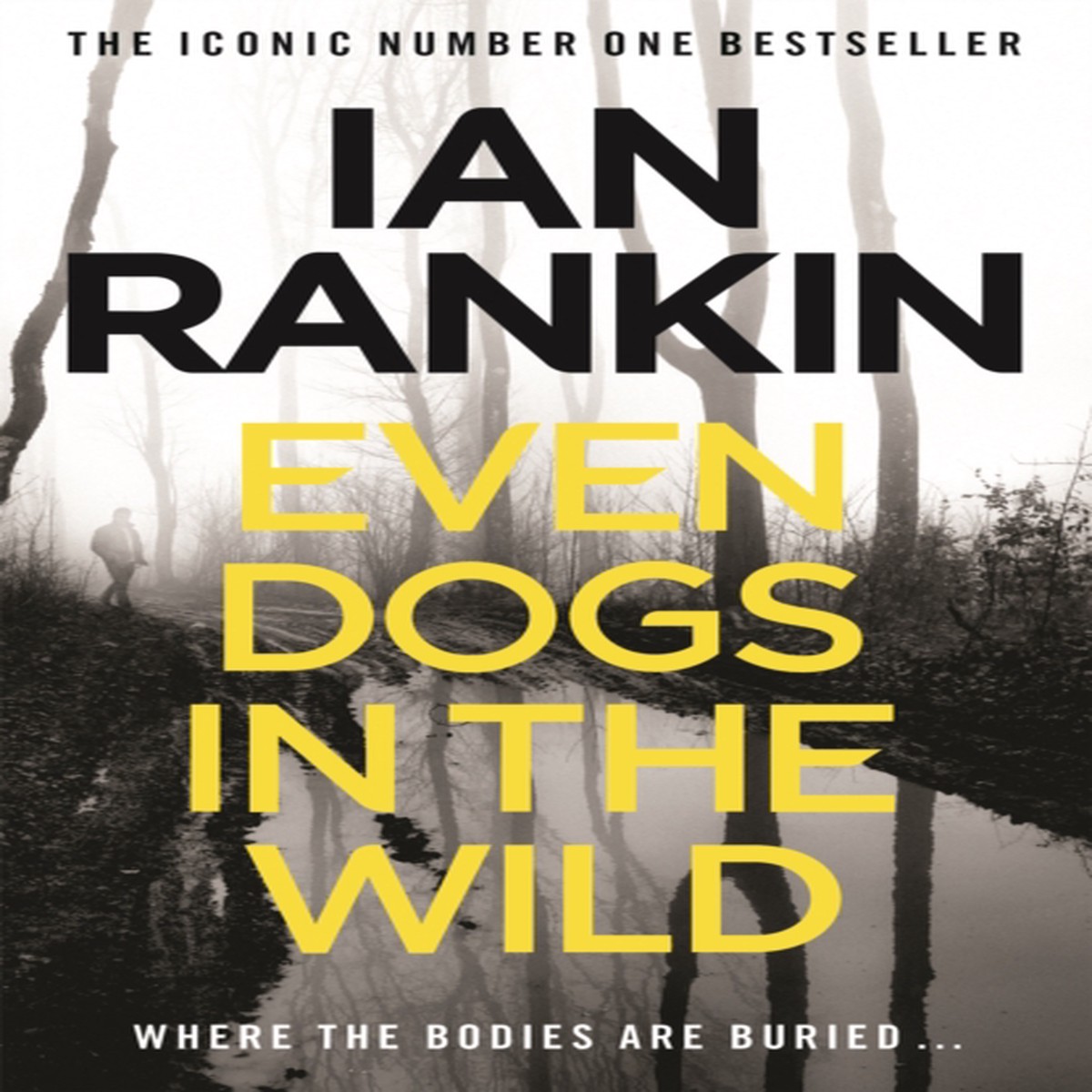 Even Dogs in the Wild 9781409159384 Paperback