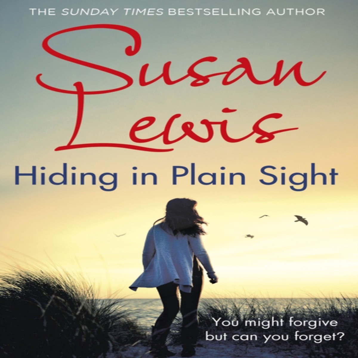 Hiding in Plain Sight 9781784755607 Paperback